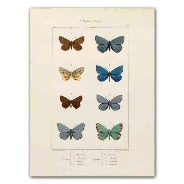 Nordic RETRO Art Canvas Painting Butterfly Insect Evolution Poster Living Room Corridor Wall Painting Home Decoration Mural No Frame