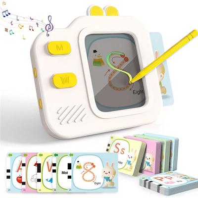 NEUER Flash-Kartenleser mit löschbarem LCD-Zeichenfeld und Ton, 120 doppelseitige Karten, Lernspielzeug für Kleinkinder, Geburtstagsgeschenk