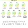 LOVERS ROCKET Vibration Rotor Massager [9 patterns][Waterproof][Washable][Video linked][+1D linked][+1DVR Linked] /