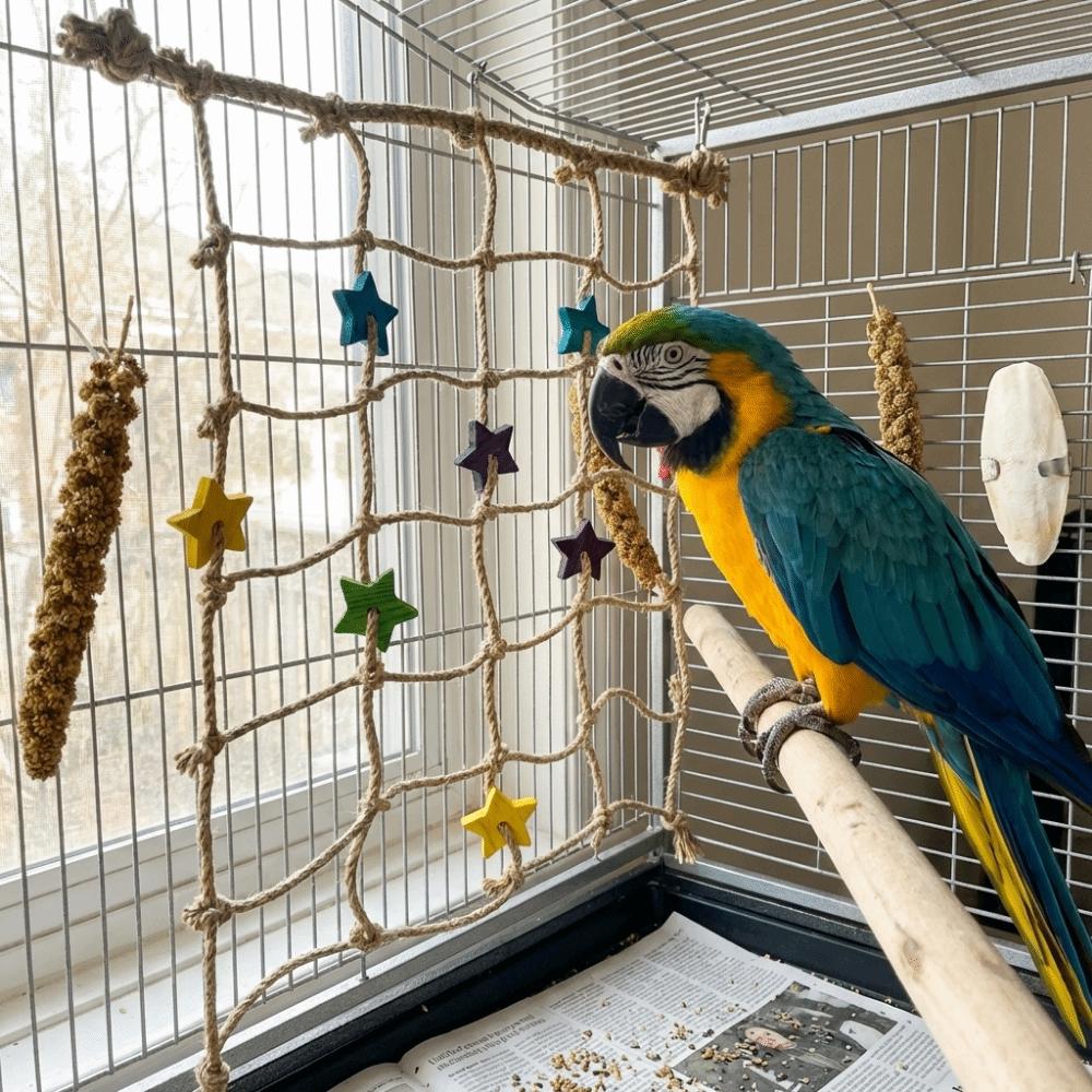 Colorful Star Parrot Climbing Net Hanging Bird Stand Net Creative Bird Cage Toy Indoor