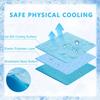 Pet Summer Cooling Mat Breathable Ice Silk Dog Bed Mat Washable Cooling Pad for Dogs Cats