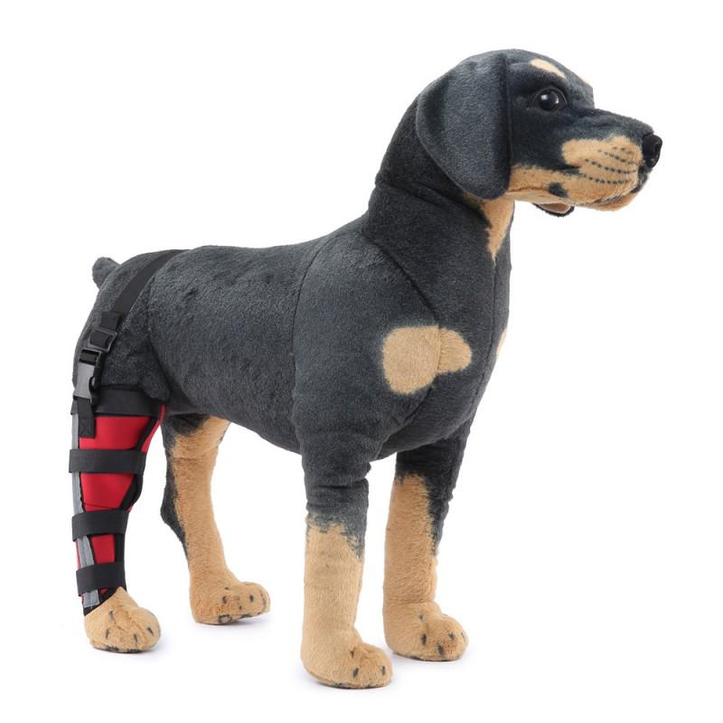 Hunde-Hinterbein-Stützbandage zur Genesung nach Operationen und zum Schutz vor Verletzungen für mittlere bis große Rassen