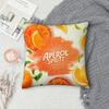 Aperol Spritz Kissenbezug Sofa Dekorative Zuhause Doppelseitiger Druck Quadratisches Kissen Wohnzimmerdeko Dekoration Kissenbezug Geschenk