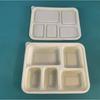 Biodegradable 5-Compartment Meal Prep Container