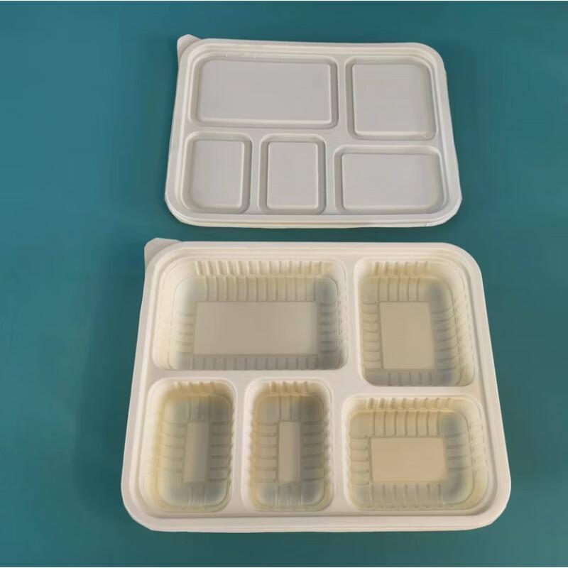 Biodegradable 5-Compartment Meal Prep Container