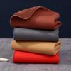 Double-Sided Suede Plush Car Wash Towel - Thick, Water-Absorbent Coral Fleece Cleaning Cloth