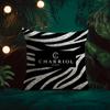 Spiral Pattern Design Charriol Cushion Cover Silky Elegant Comfort Sofa Bed Invisible Zipper Beach Pillowcase