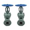 Z41H-16C WCB Manual Flange Gate Valve