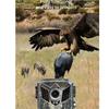 IP54 Waterproof Infrare Camera Capture Clear 1080P Footages Camera Tracking Cameras Hunting Camera with Pir Sensor