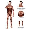 Euro Fantasy Male Stage Costume With Realistic Muscle Pattern For Theater Acts