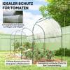 Greenhouse, winterproof, foil greenhouse with Arched roof, ground anchor greenhouse 400 x 123 x 171cm Transparent
