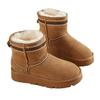 Fur Integrated Snow Boots Women's Winter 2025 New Piled Thickened Warm Short Tube Non-slip Thick-soled All-wool Cotton Shoes