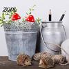 Cute Hedgehog Mushroom Set Micro Landscape Ornaments for Moss Terrariums Fairy Garden Decor, Miniature Supplies Figurine, Mini Statue, Potted Plant &