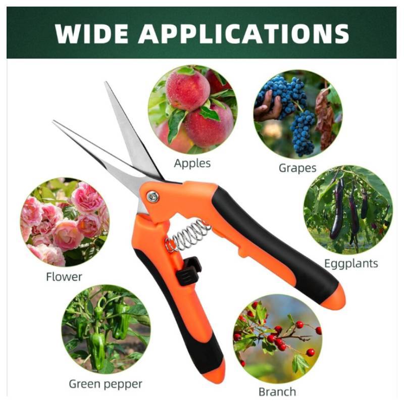 Garden Shears Set With Stainless Steel Blades For Pruning Fruit Trees And Garden Use