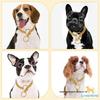 Cães – Colares e correias para cães