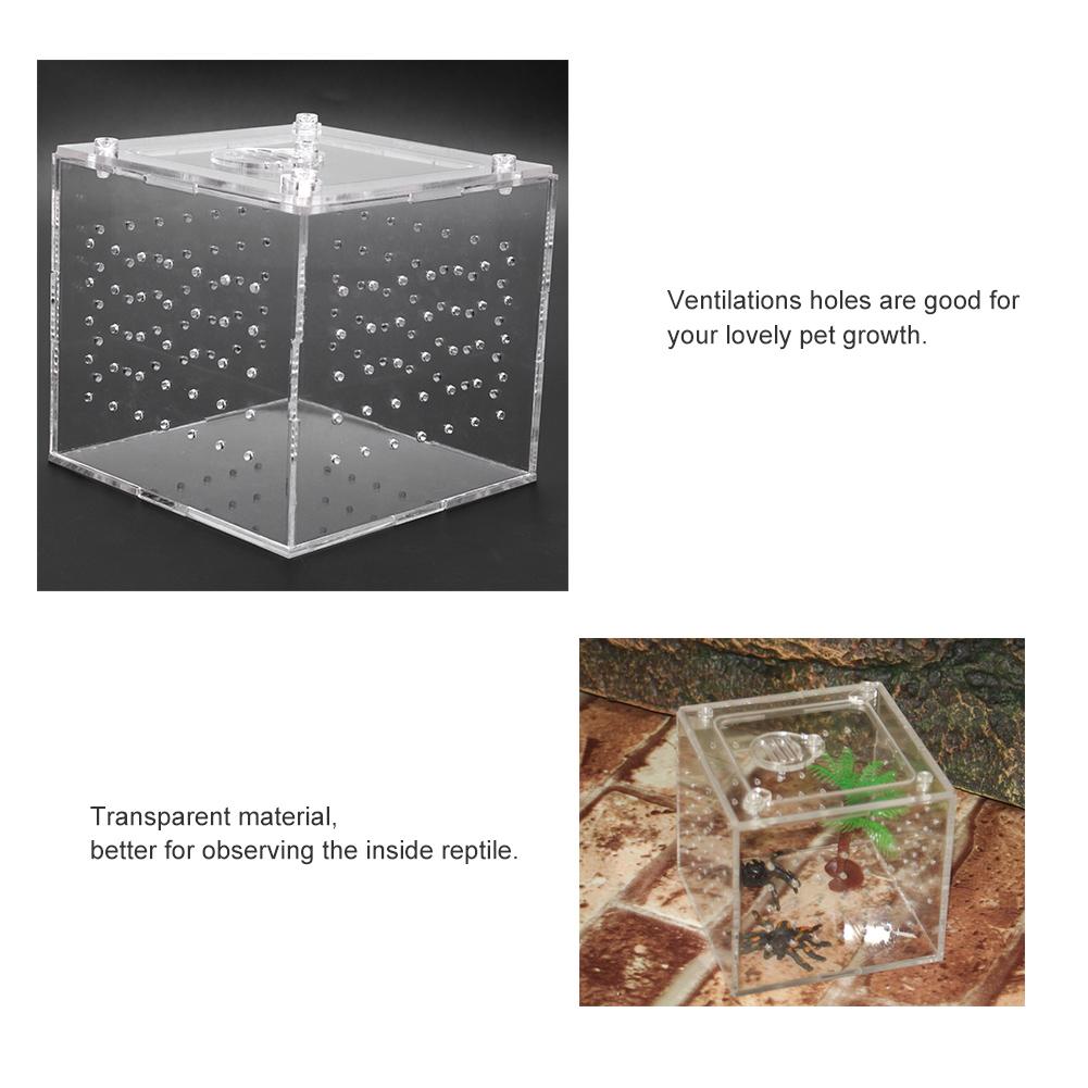 1Pc Reptile Terrarium Feeder Snakes Spider Lizard Breeding Acrylic Box Case Insects House