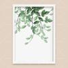 Bohemian Watercolor Tropical Plant Canvas Painting Monstera Banana Leaf Eucalyptus and Fern Art Posters Aesthetic Bedroom Decor