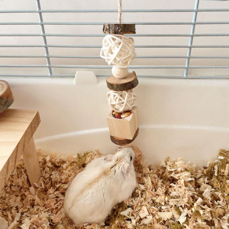 Giocattolo per criceti Criceto Orso Dorato Cibo da Cercare Masticare Levigare i Denti Corda Legnosa da Mordere Scatola per Snack Forniture per Paesaggistica Criceti