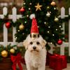 Soft Pet Christmas Hat Adjustable Festive Pet Hat Fashion Pet Santa Hat  Pet Outfit