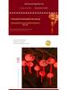 Spring Festival Double Happiness Red Lantern LED String Lights - Festive New Year Decoration