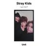 Stray Kids Ich bin KEINE offizielle Fotokarte