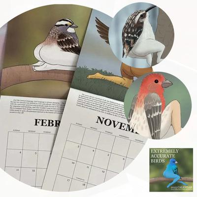 Calendar Păsări Extrem de Precis Pentru 2025 - Calendar Păsări 2025 Calendar de Perete