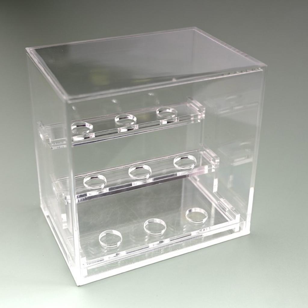 Sturdy Acrylic Display Case Museums Quality Acrylic Box For Gems And Mineral Presentation With Protective Features