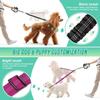 16ft Long Dual Dog Leash Attachment - Double Leashes for Training Small To Large Dogs - Adjustable Strap, Shock Absorbing Bungee