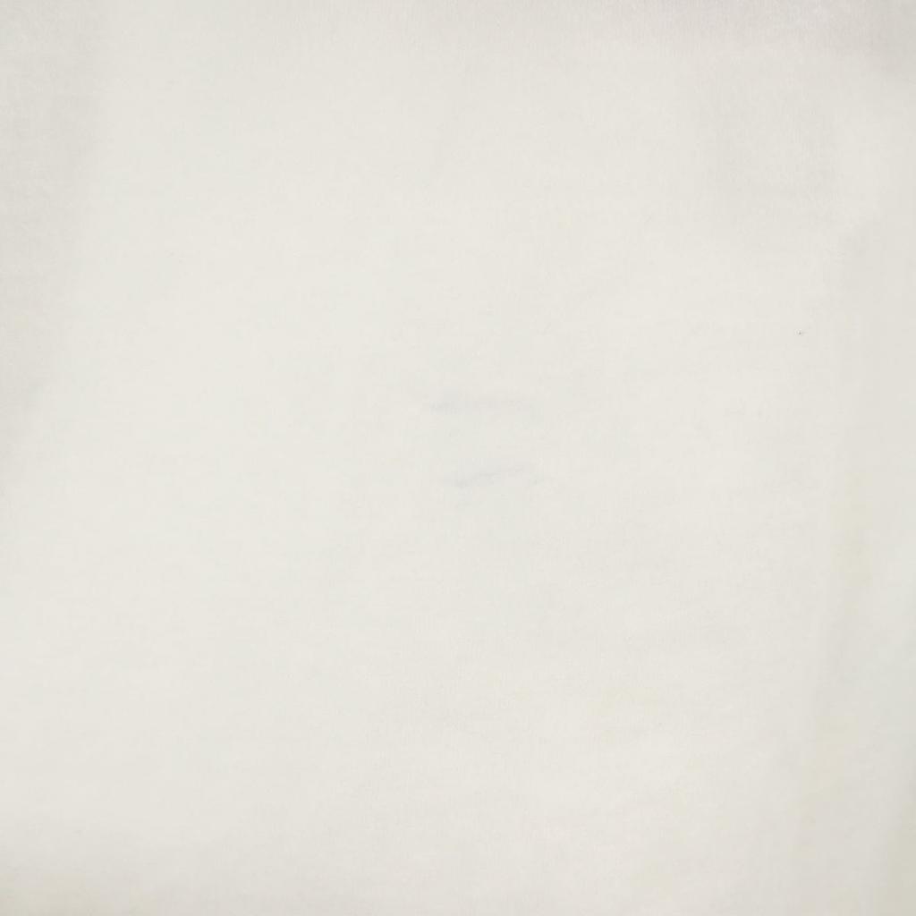 ROLLING CRADLE ET Print Short sleeve T-shirt S white Men's Used