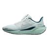 Air Zoom Pegasus 41