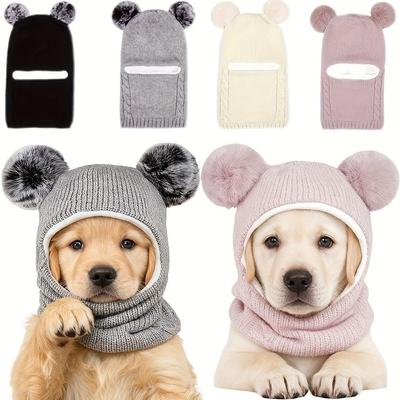 Ropa y calzado – Gorras para perros