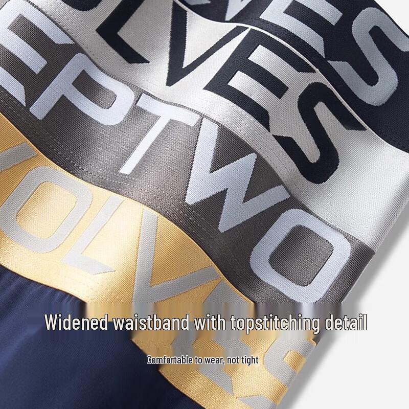 Septwolves Men's Antibacterial Ice Silk Boxer Briefs 4-Pack