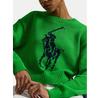 Свитер Polo Ralph Lauren 211A96234003