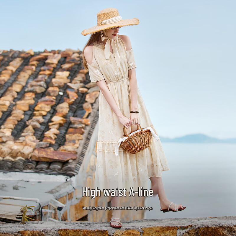 Xiangying Chiffon Floral V-Neck A-Line Dress