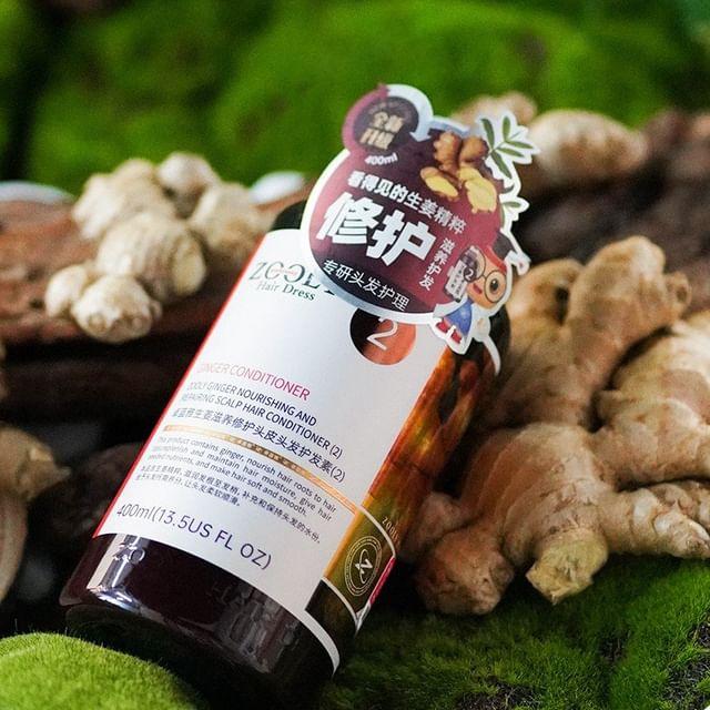 ZOOLY - Mo.2 Ginger Scalp Nourishing & Repairing Hair Conditioner - 2 Sizes 250ml