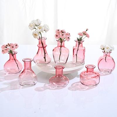 European Style Colored Glass Vase Water Nourishing Green Plants Flower Arrangements Desktop Ornaments Home Decoration