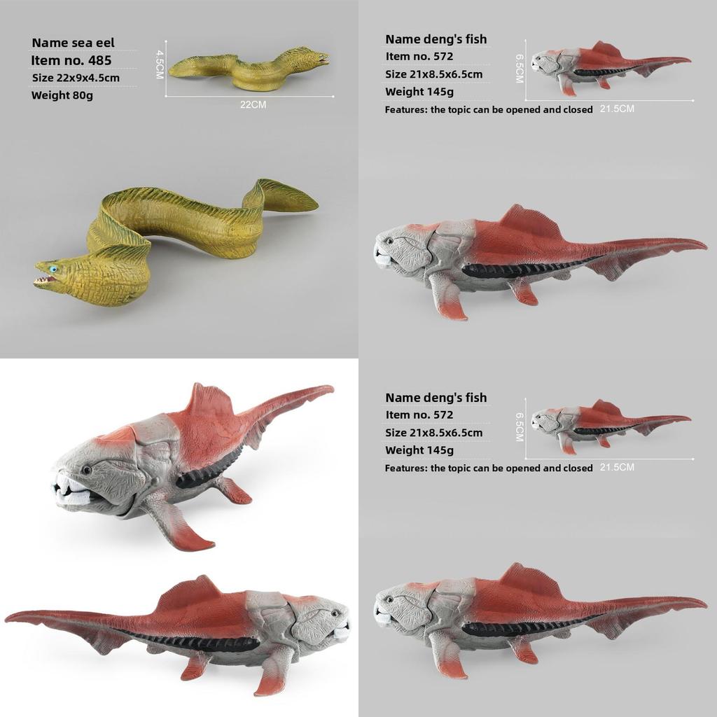 Arabian Pike Eel Kids Marine Animal Toy Set With Realistic Plastic Models For Educational Play
