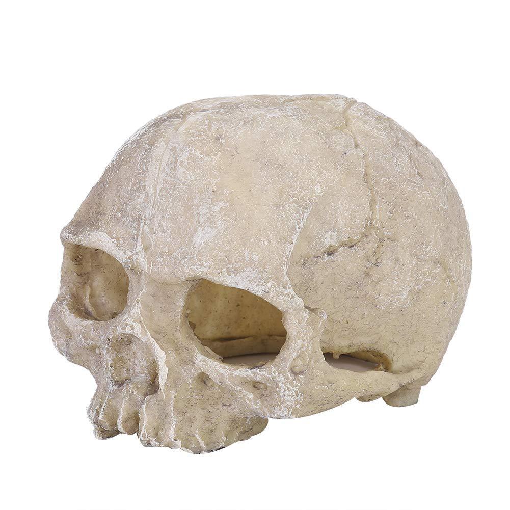 Terrarium Skull Decoration for Bearded Dragon, Lizard, Snake, Spider, Scorpion, and Fish Tank Aquarium Huizhou