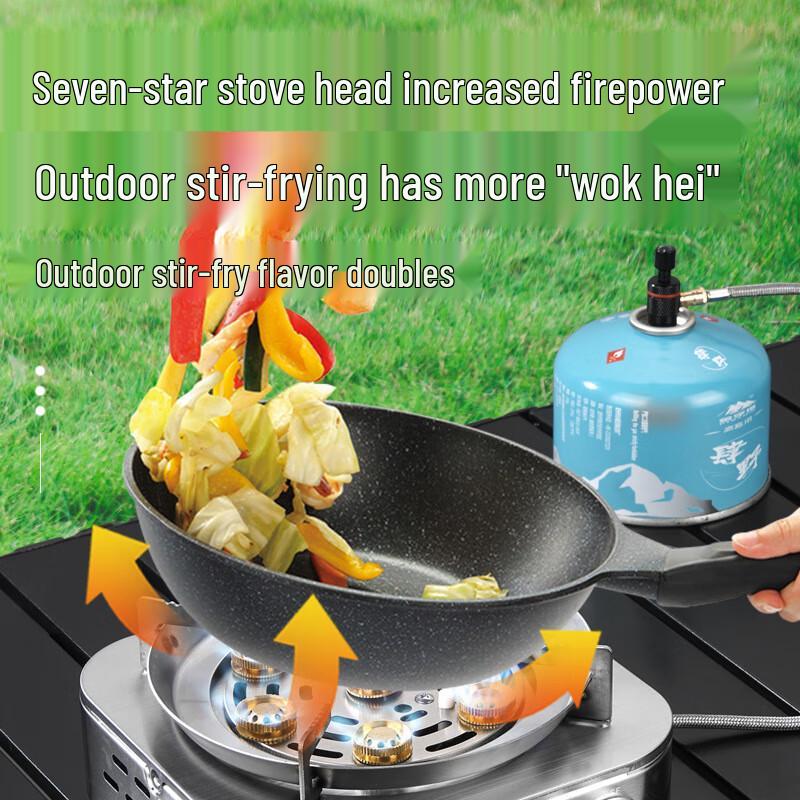 Zhishi Portable Stainless Steel Camping Gas Stove