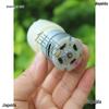 365 Self-Priming Diaphragm Pump DC 3V-5V: Automatic Tea Brewer and Water Dispenser