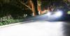 [2026 Explosive Model] BLUESEATEC D2S D2R LED Headlight Explosive 10000LM