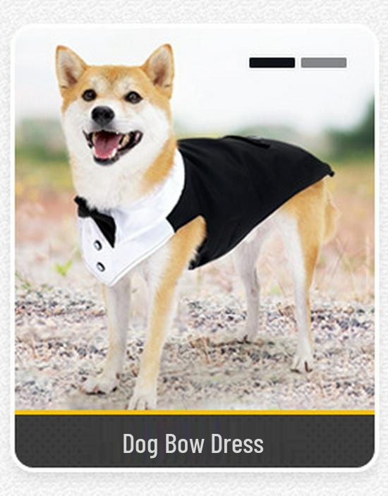 Waterproof & Windproof Full-Coverage Dog Jacket for Medium & Large Breeds