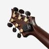 D'Addario NS Micro Clip Free Tuner Chromatic Type with Full Color Display PW-CT-21 (Includes 2 Mounting Screws) [Domestic Genuine Product]