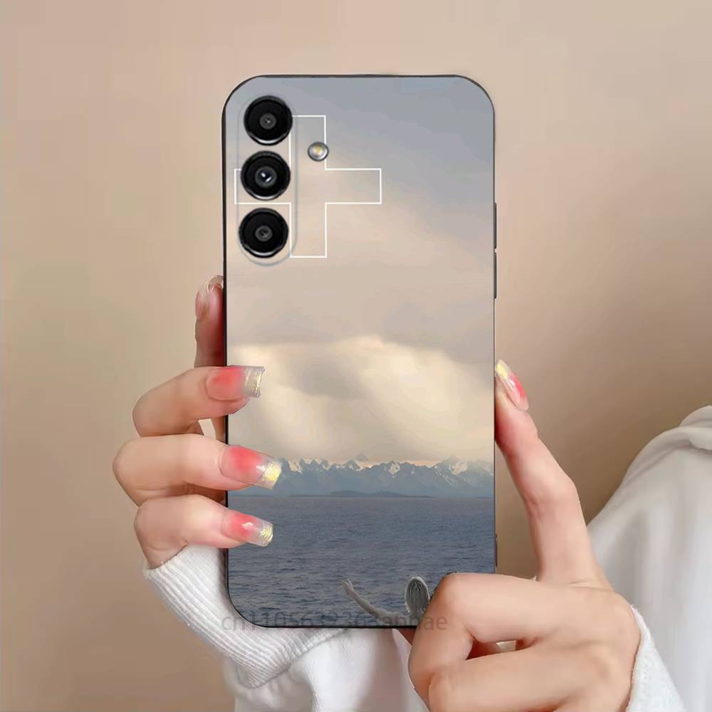 2hollis 2 Poster Boy Phone Case For Samsung Galaxy S21 22 23 24 S25 Ultra PlusS20 FE S10 Plus  Cover Funda