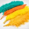 Natural Ostrich Feathers 25-30cm 30-35cm Wedding Decoration Table Centerpieces Carnival Plumas Decor 10pcs/bag Colored DIY Plume