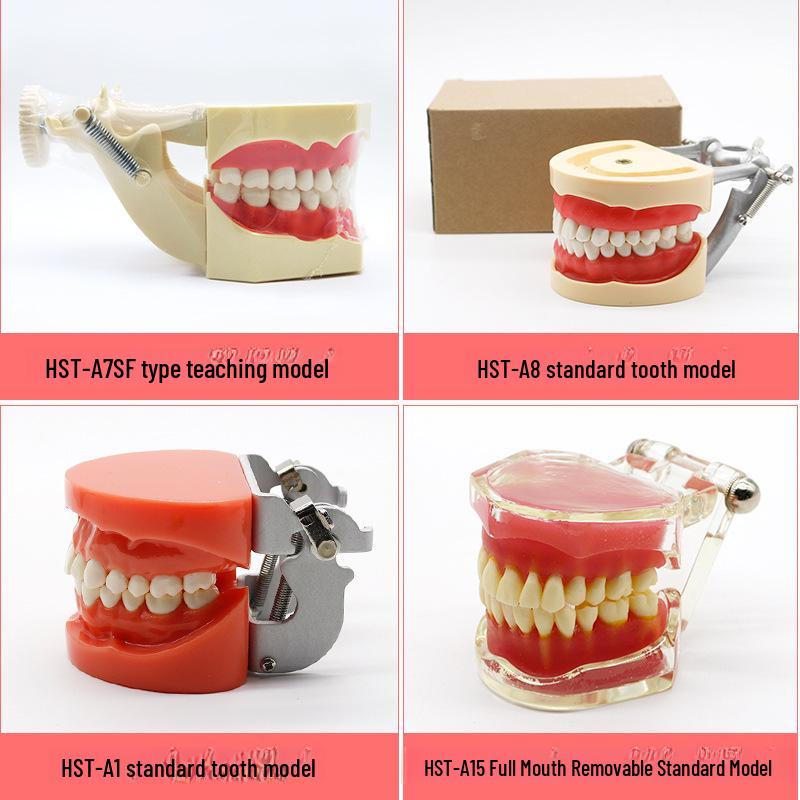 Dental Educational and Communication Model Set: Comprehensive, Removable, and Implant Restoration Models