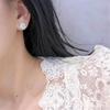Charm Female White Flower Zircon Stone Stud Earrings Luxury Girls Gift Wedding  For Women