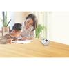 Seiko Clock Alarm Clock Study Time White BC418W