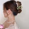 1pc Super fairy temperament, grab clip, large hair clip, women's summer cute hair accessories, ins high-end shark clip
