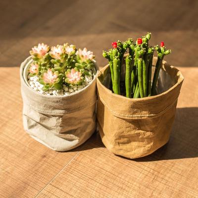 Garden Flower Pot Waterproof Eco-friendly Kraft Paper Pots Plants Multifunction Reuseable Plant Bag  Supplies Decoration